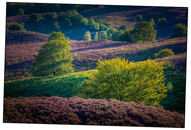 Landschapsfotografie