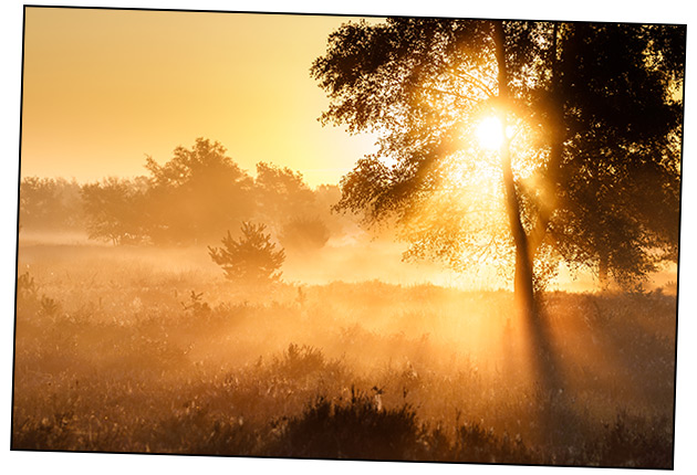 De Fotografiebijbel