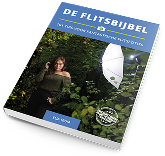 De Flitsbijbel De Flitsbijbel